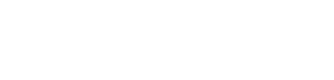 birdeye logo white 2020